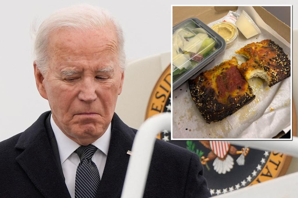 Biden scorched over âDetroit-styleâ pizza served on Air Force One: âTrying to lose Michiganâ